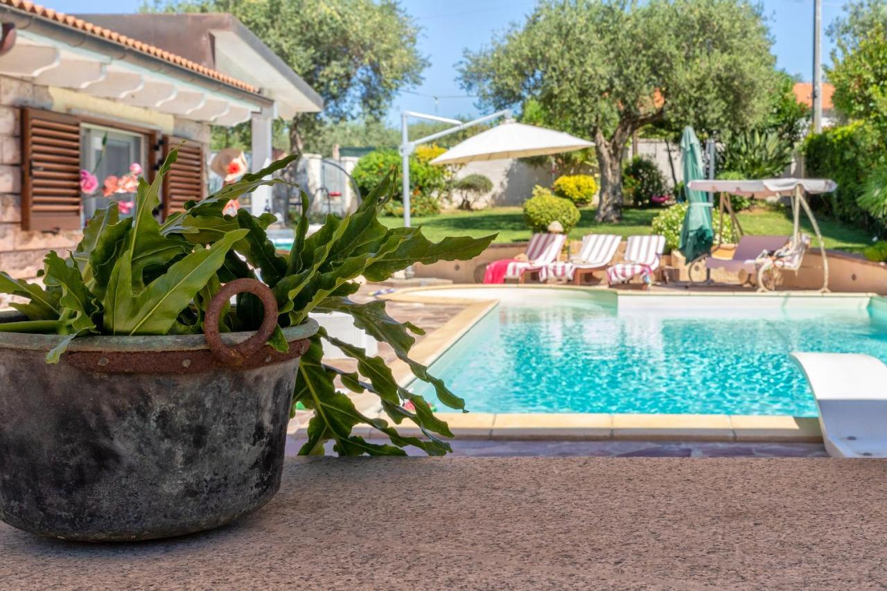 Villa Sunflower Альгеро Екстер'єр фото